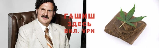 стаф Балахна