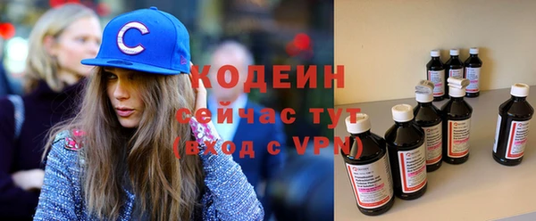 стаф Балахна