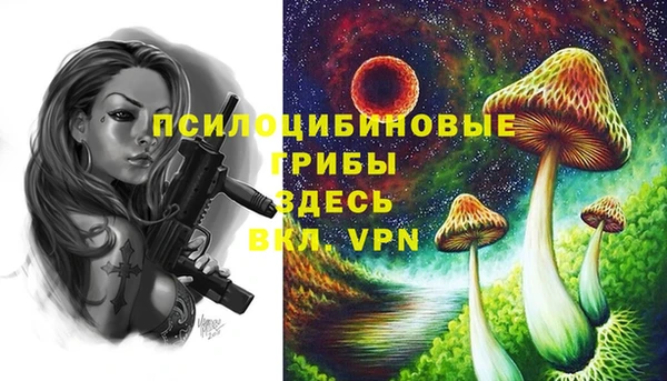 стаф Балахна