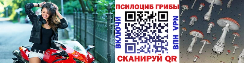 Галлюциногенные грибы мухоморы Орёл