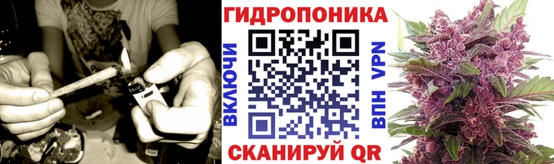 дарнет шоп  Орёл  Каннабис конопля 